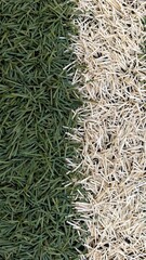 Closeup of the blades of a soccer turf