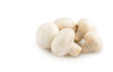 Close up organic fresh white mushroom or Champignon on white background. Isolated fresh white mushroom or white Champignon with clipping path around object in file.