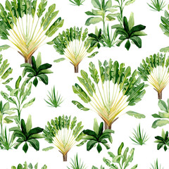 Watercolor tropical plants and trees seamless pattern. Africa summer kids jungle background, savannah pattern for the wrapping paper, textile fabric, wallpaper decor - 354873831