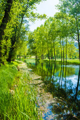 Fototapeta na wymiar Beautiful river Gacka flowing between the meadow fields in Lika region of Croatia 