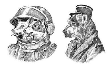 Dogs astronauts in a spacesuit. Bear in military style. Fashion Animal character label. Hand drawn sketch. Vector engraved illustration for label, logo and T-shirts or tattoo.