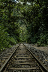 Camino