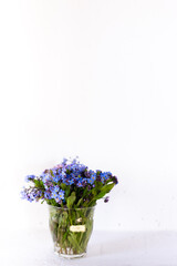 Blue wildflowers in a glass cup against a white wall. White background. Forget me nots.