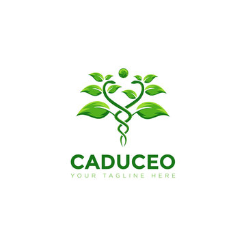 caduceo logo,  creative Plant snake vector