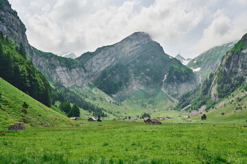 Fototapeta na wymiar Landscape panorama near Seealpsee, Alpstein range of the canton of Appenzell, Switzerland. Green nature, mountains and meadows.