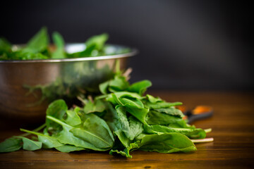 fresh cut sorrel leaves on a wooden table