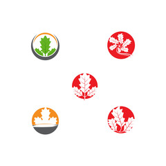 Set Maple leaf vector illustration