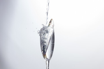 Sardine is a healthy fish