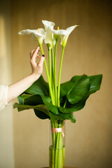 bouquet of calla flowers with leaves