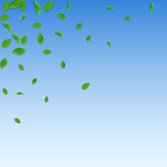 Falling green leaves. Fresh tea chaotic leaves fly