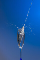 Sardine is a healthy fish