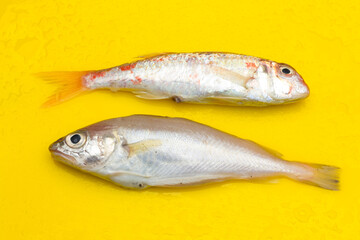 Fresh fish fresh from the sea