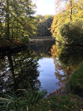 Jardines del Castillo de Groeneveld 10