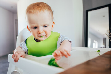 Serious baby girl sitting on highchair and grabbing finger food. Little child starting eating by herself Led weaning and self-feeding concept