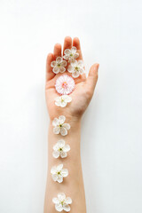 A beautiful child's hand with delicate flowers lies on a white surface. The concept of donation and...