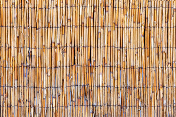 Dried bamboo cane, as a creative abstract background