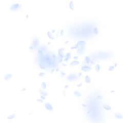 Light blue flower petals falling down. Indelible r