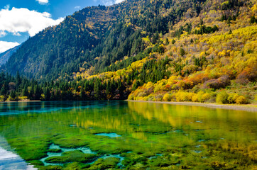 Fototapeta premium Beautiful multi-color pond at famous Jiuzhaigou National park in autumn, the world heritage site near Chengdu Chinal.