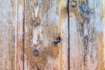  Planks of old wooden wall as a natural background.