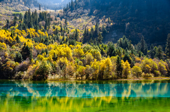 Beautiful multi-color pond at famous Jiuzhaigou National park in autumn, the world heritage site near Chengdu Chinal.