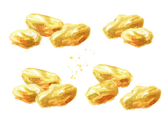 Dried golden raisins set. Hand drawn watercolor illustration isolated on white background