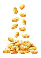 Falling dried golden raisins. Hand drawn watercolor illustration isolated on white background