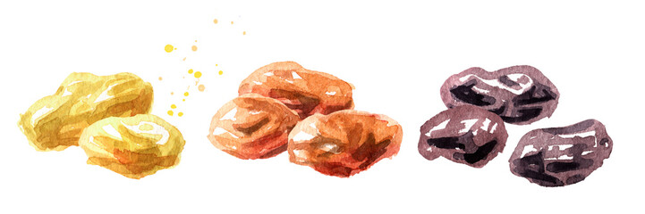 Various raisins set. Hand drawn watercolor illustration, isolated on white background