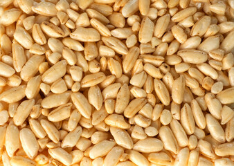 air grains of rice in sugar syrup. close up