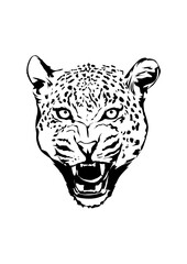 black leopard vector for tshirt design or logo
