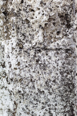 Abstract concrete, weathered with cracks and scratches. Landscape style. Grungy Concrete Surface. Great background or texture.