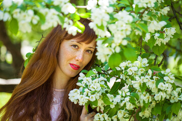 Young red-haired woman posing against the backdrop of a blossoming apple tree