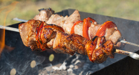 juicy and delicious shish kebab is fried on coals.