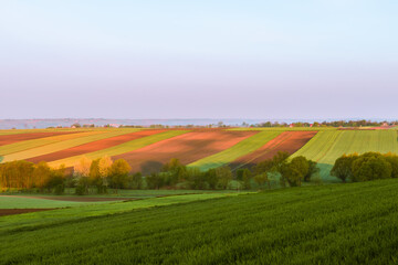 Aerial countryside landscape with fields under the blue sky in the early morning.