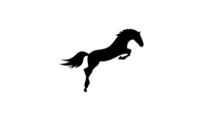 horse, animal, head, white, farm, stallion, pony, mammal, nature, portrait, jump, equestrian, horses, run, black, equine, foal, wild, gallop, mane, beauty, animals, mare, illustration, black, run