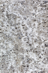 Abstract concrete, weathered with cracks and scratches. Landscape style. Grungy Concrete Surface. Great background or texture.