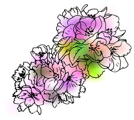 apple blossom line art on blur background