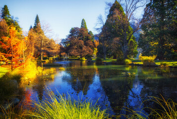 Autumn Color at Queenstown Garden New Zealand; Queenstown City, South Island