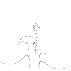 Flamingo birds family line drawing, vector illustration