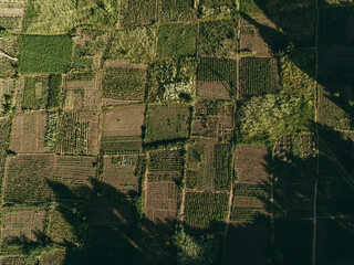 Fototapeta premium Many fields, photo from above. Aerial photography, agriculture, summer, greenery, grass, wheat field.