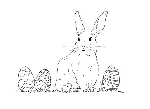 graphic easter rabbit with eggs