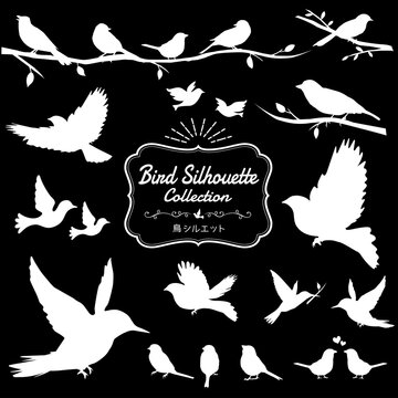5 Best 鳥シルエット Images Stock Photos Vectors Adobe Stock 5 Best 鳥シルエット Images Stock Photos Vectors Adobe Stock