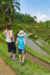 Famille visitant une rizière en Asie