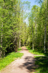 View of the jogging path in the forest, Masala, Kirkkonummi, Finland