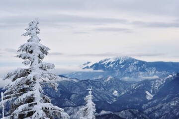 snowy mountain with beautiful clouds at high altitude 