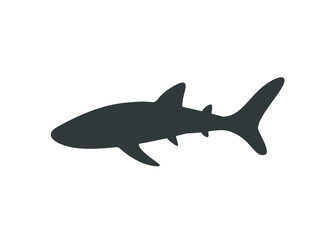 Obraz premium Whale shark icon. Shark icon. 