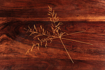 Straws on Dark Table