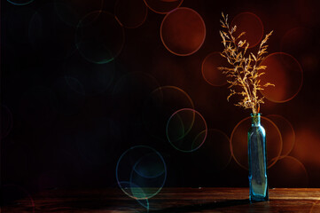 Straws and Bokeh