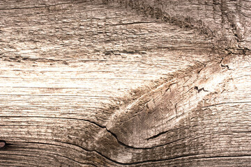 the brown wood texture