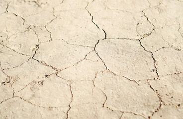 Fototapeta premium Dry soil texture on the ground without rain