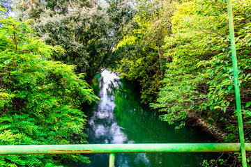 Il fiume tra la natura